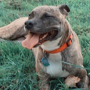 Meet your Posher, Deanna